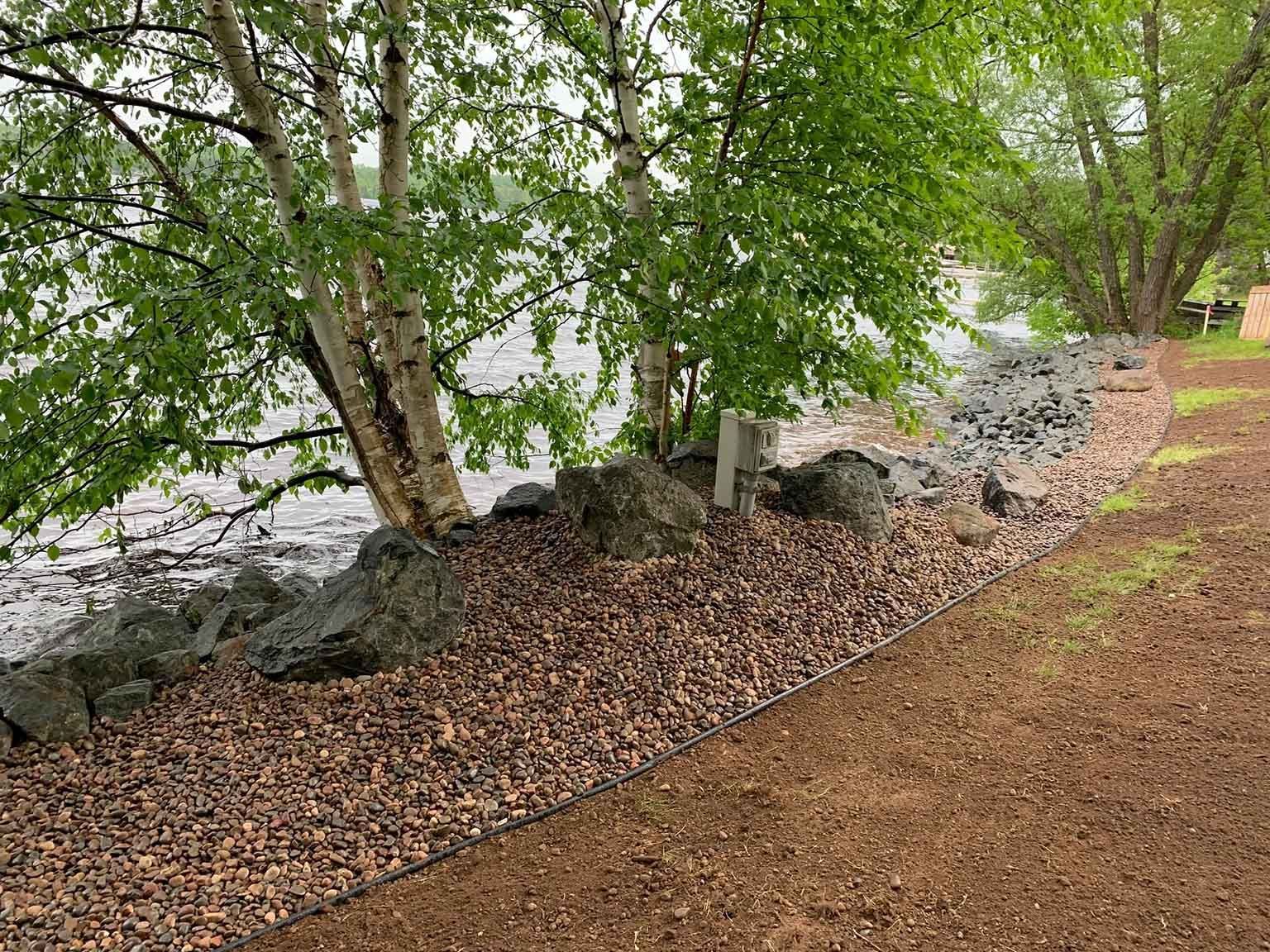 Shoreline with trees, rocks, and gravel