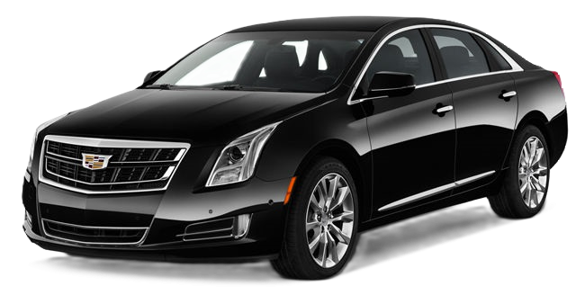 A black cadillac eldorado is shown on a white background.