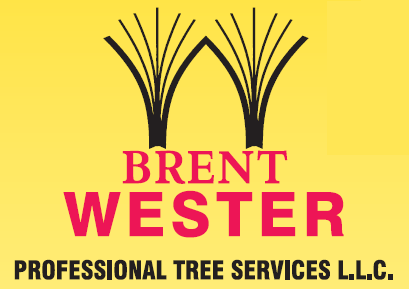 Brent Wester Tree Service