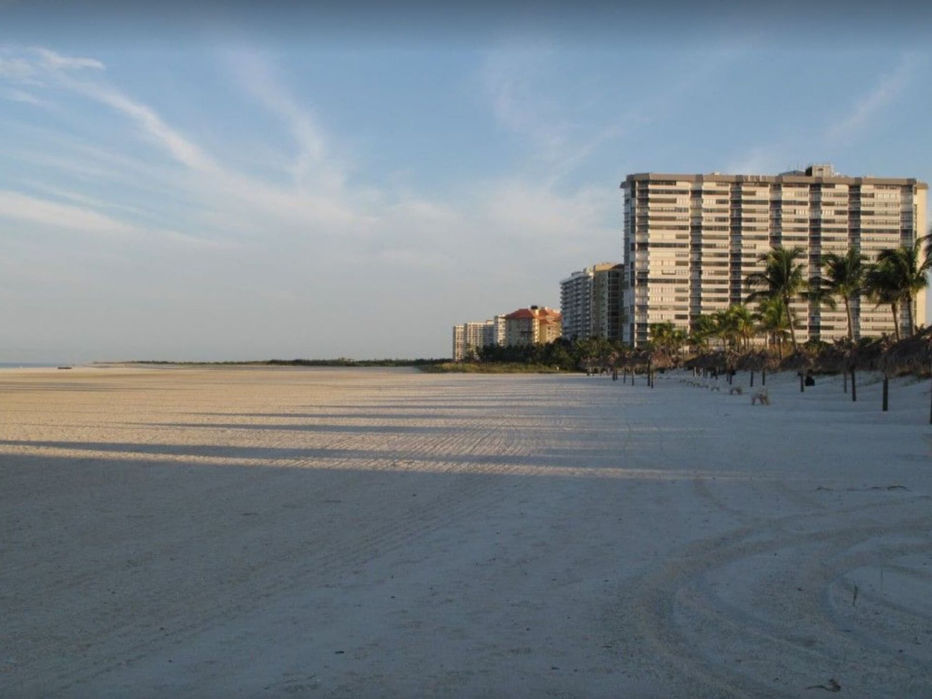 A beach with palm trees and buildings in the background