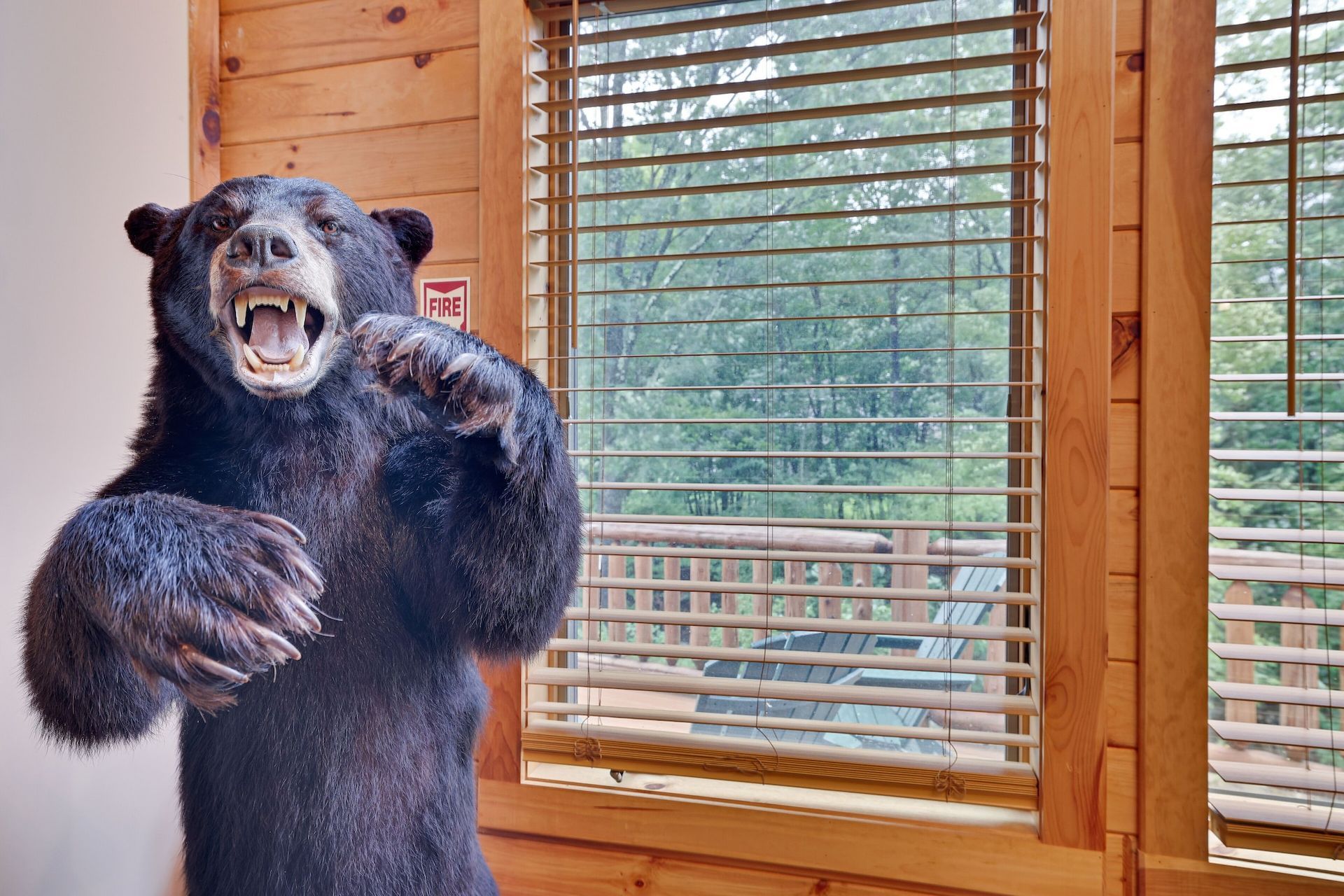 A stuffed bear is standing in front of a window with blinds.