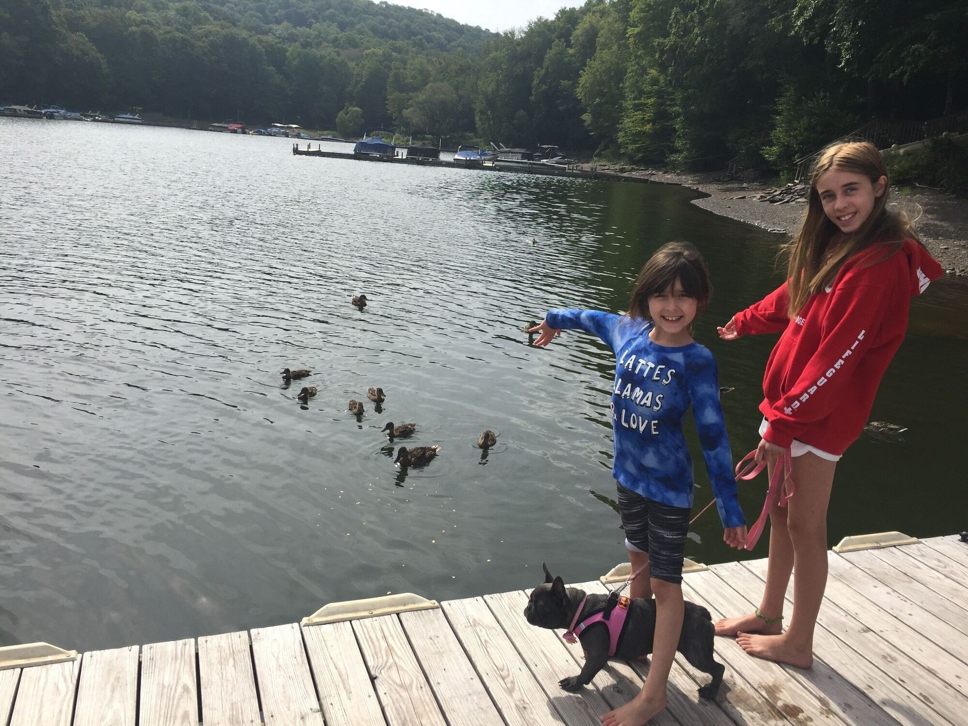 A boy and a girl are feeding ducks on a dock