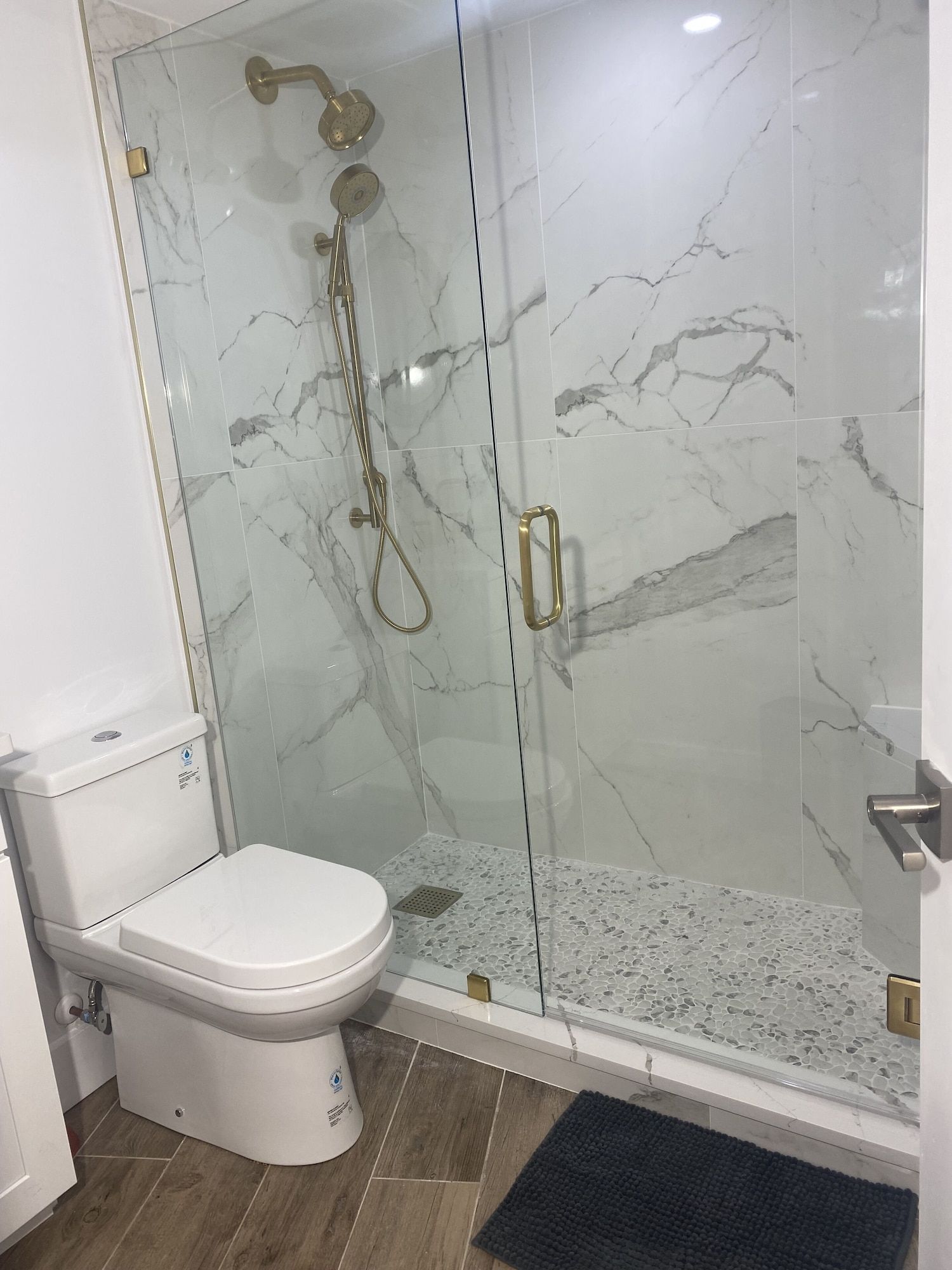 A bathroom with a toilet and a walk in shower.