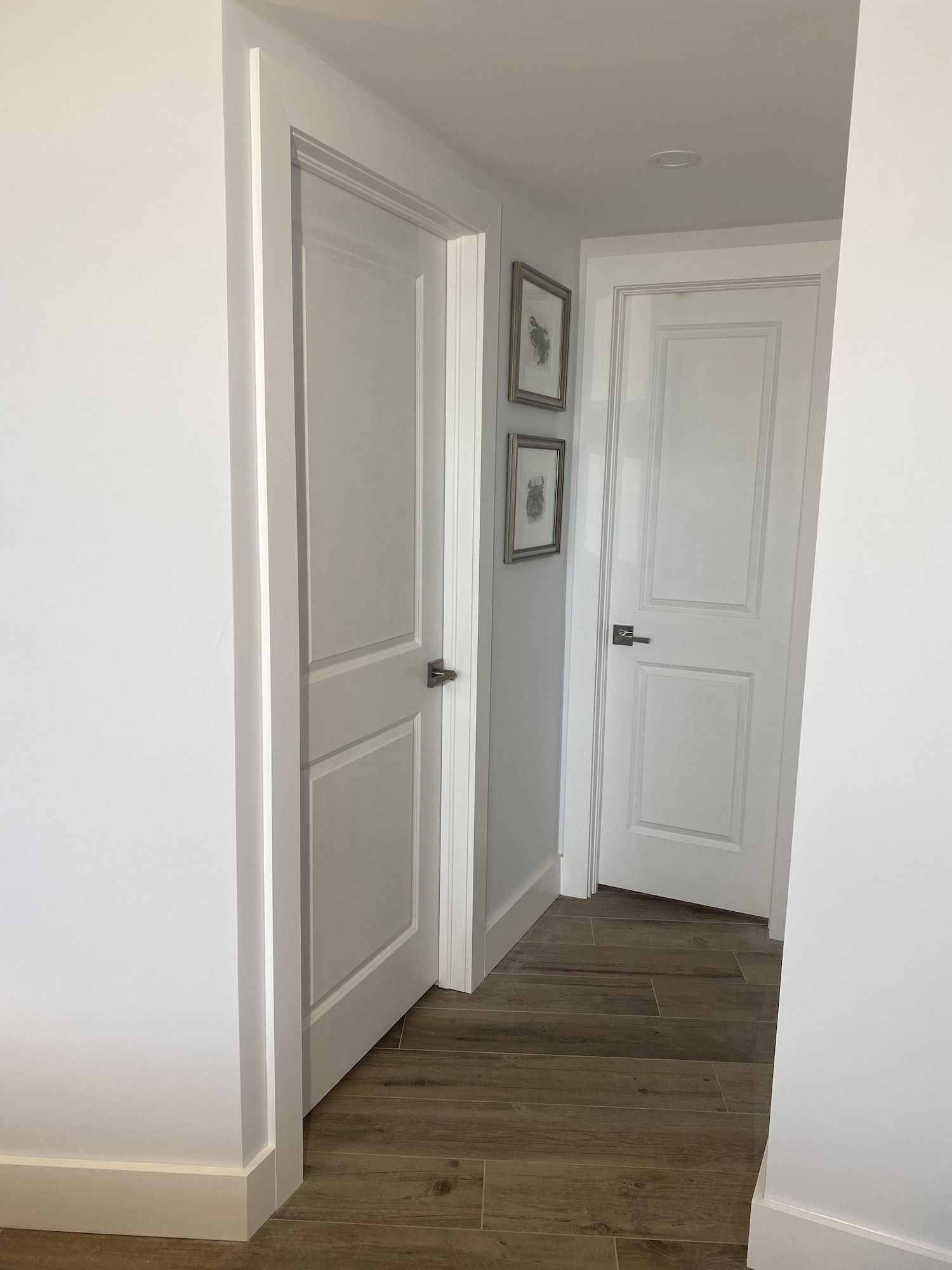 A hallway with two white doors and two pictures on the wall.