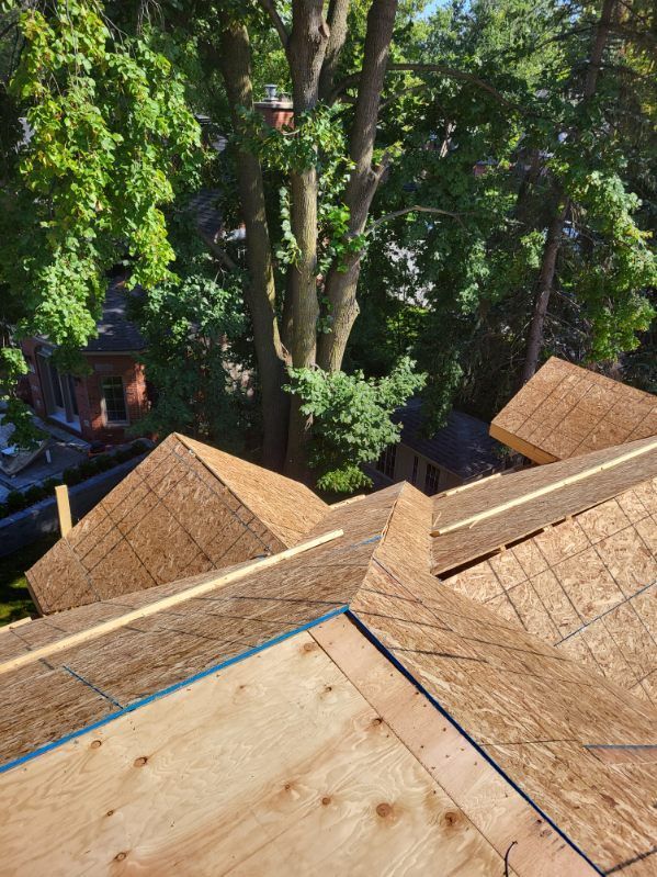 Un toit en bois est en construction avec beaucoup d'arbres en arrière-plan.