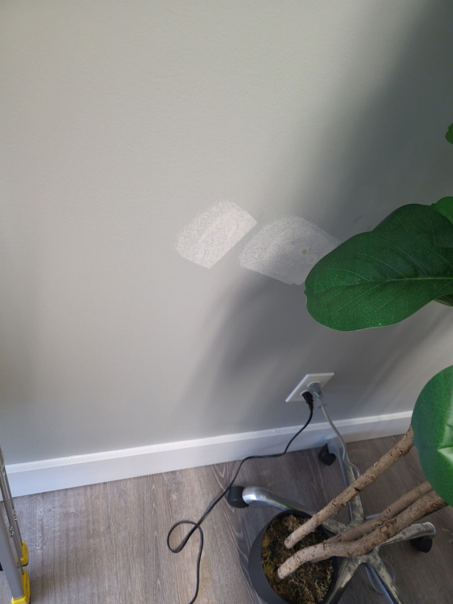 Two light patches on a gray wall, near a floor outlet, and a potted plant.