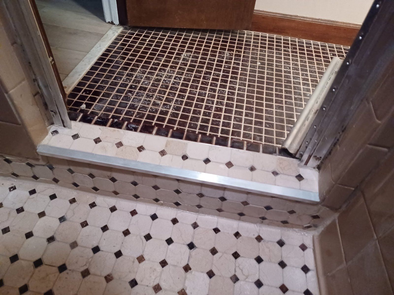 Bathroom doorway with brown tiled floor mat, step-up, and patterned tile floor.
