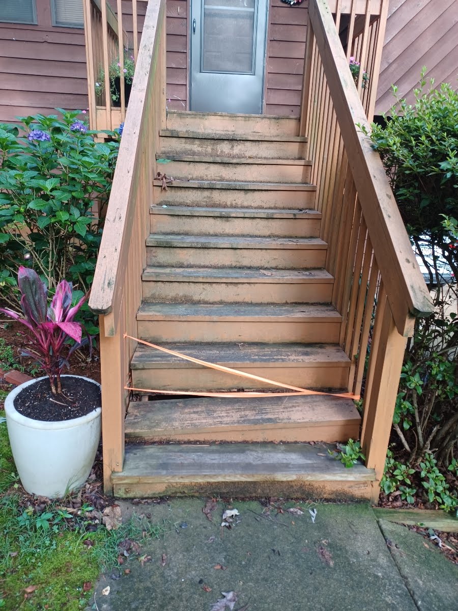 Wooden exterior staircase leading to a door; a plant pot on the left, foliage on the right.