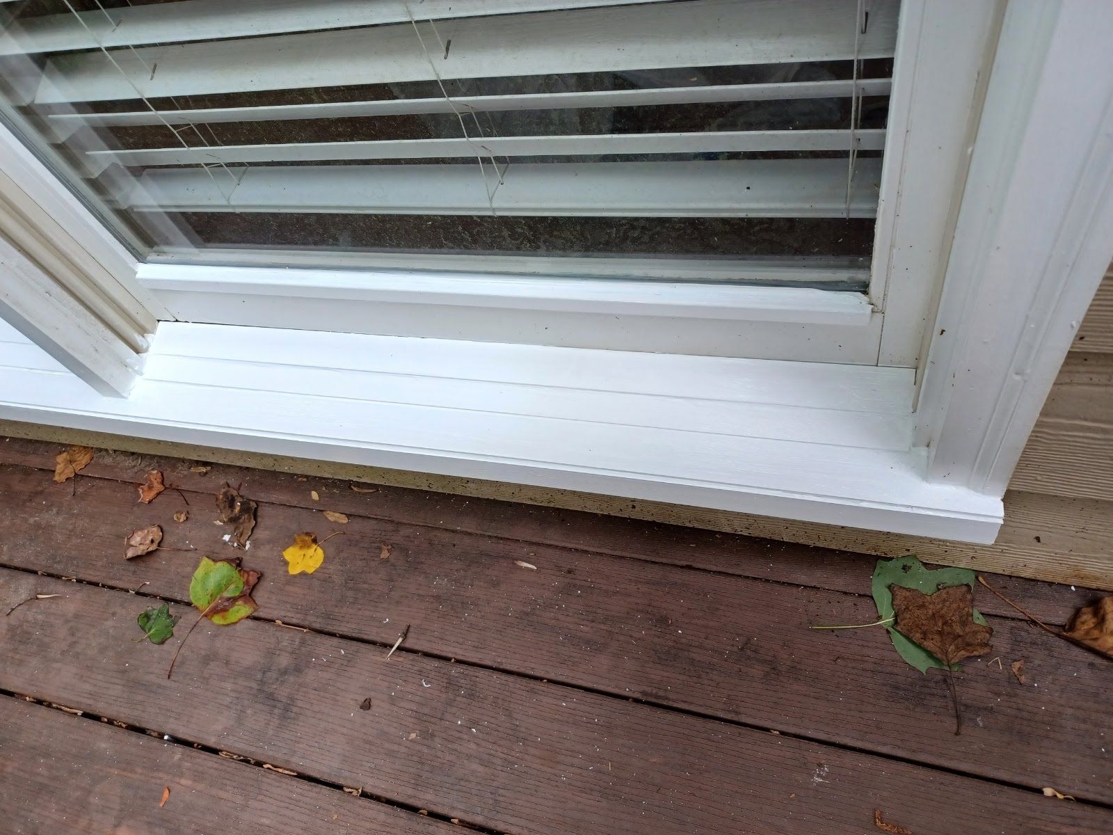 White window frame, blinds, and trim on a wood deck with leaves.