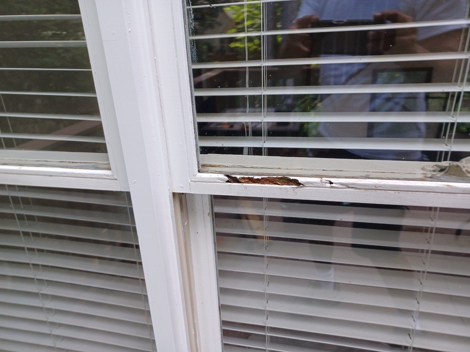 White window frame with peeling paint; blinds are visible.