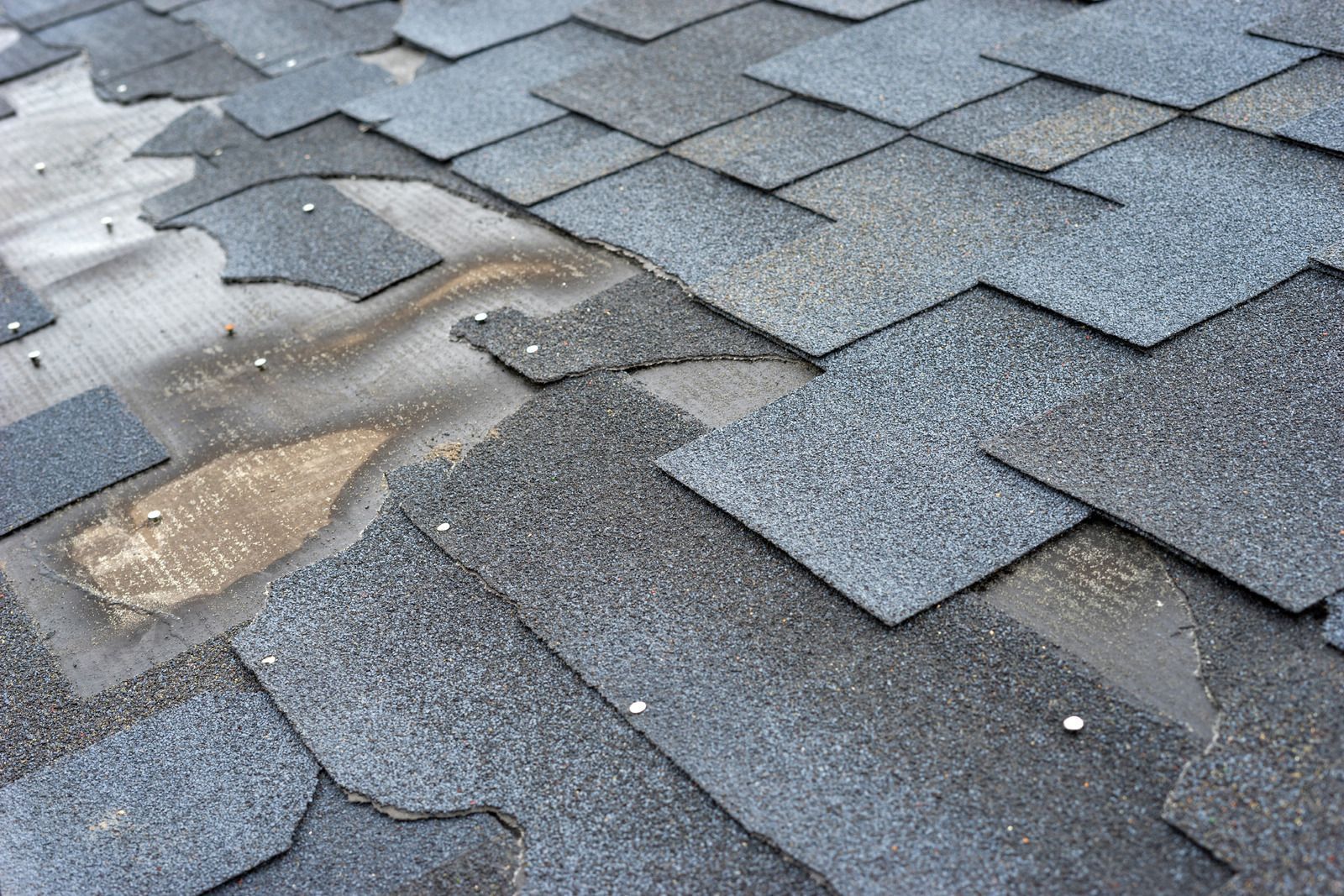 Close-up of weathered asphalt roof shingles, showing damage and discoloration.