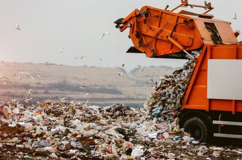 Landfill Services, Belfast
