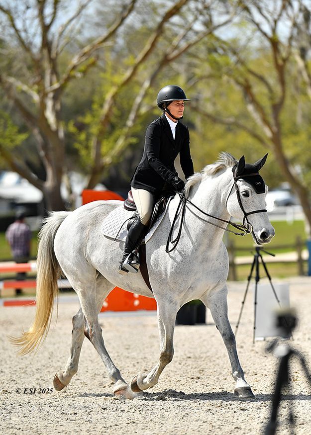 A woman is riding a white horse in a ring.