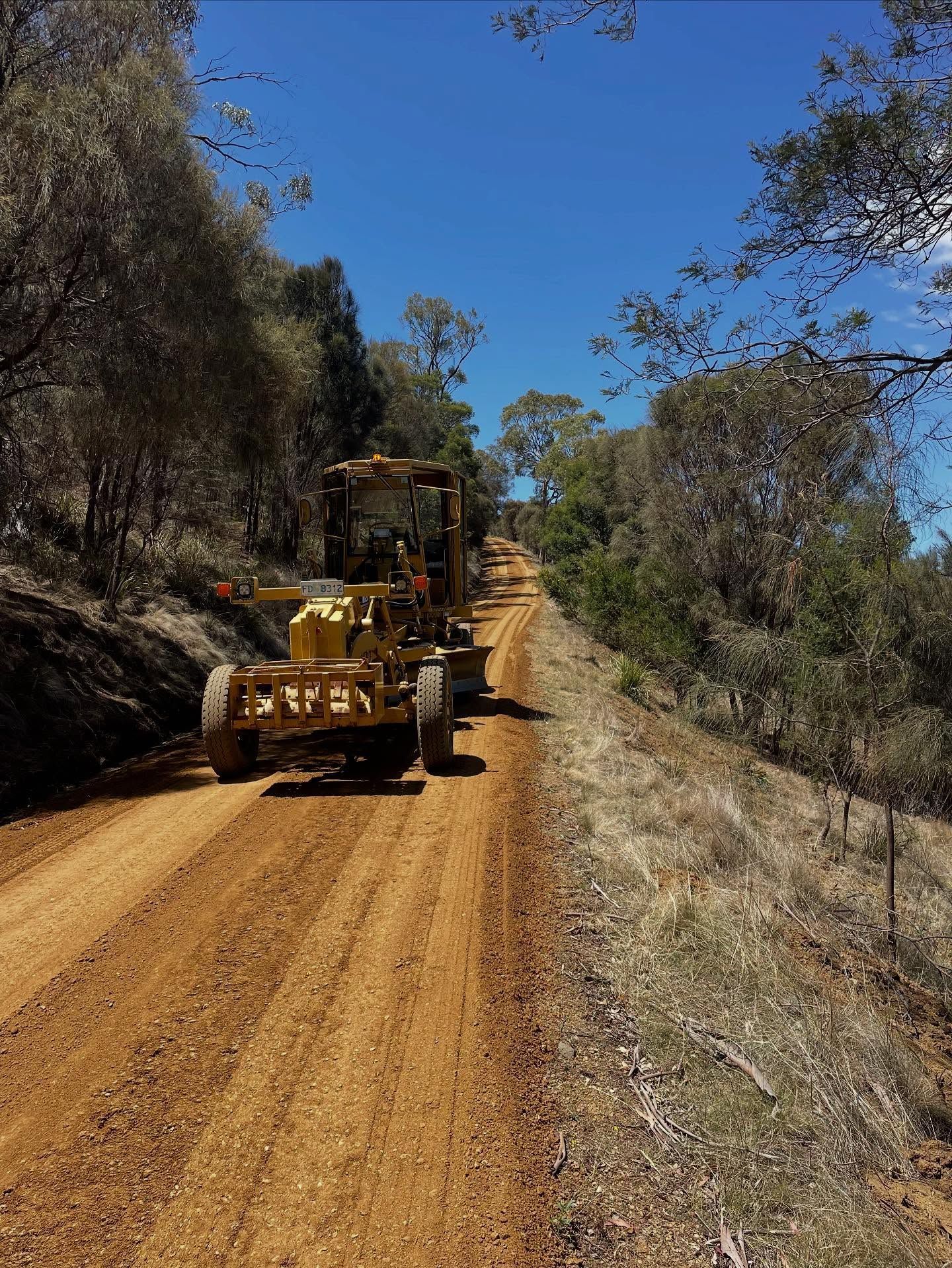 Yellow grader smoothing a dirt road in a sunny forest setting.