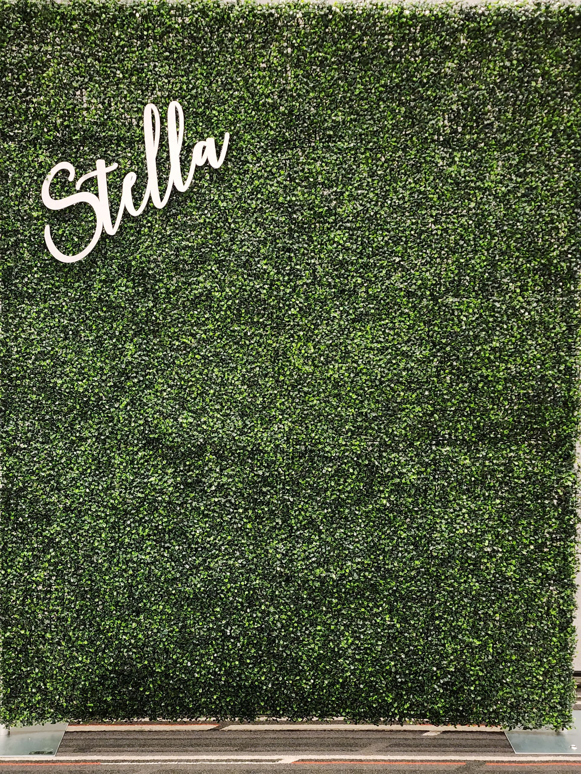 A green wall with the name stella written on it.