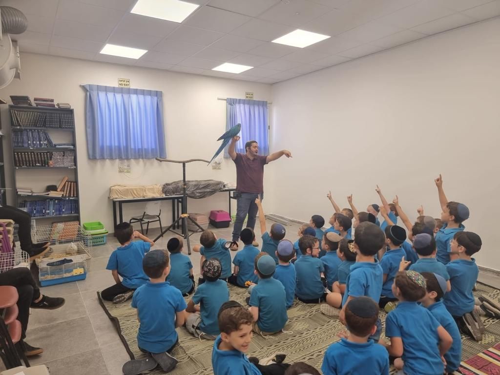 חוויות עם חיות