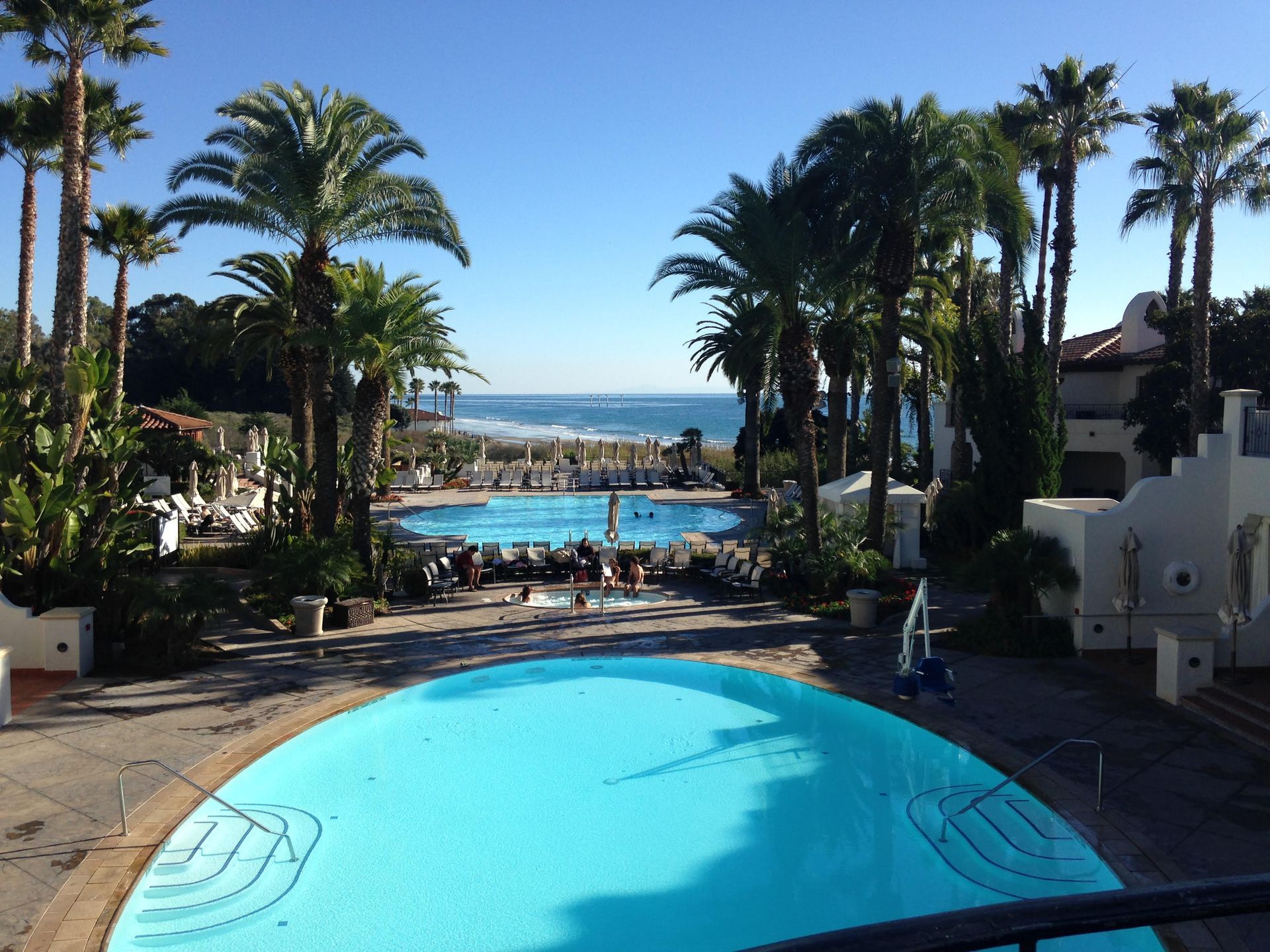 A large swimming pool surrounded by palm trees with the ocean in the background