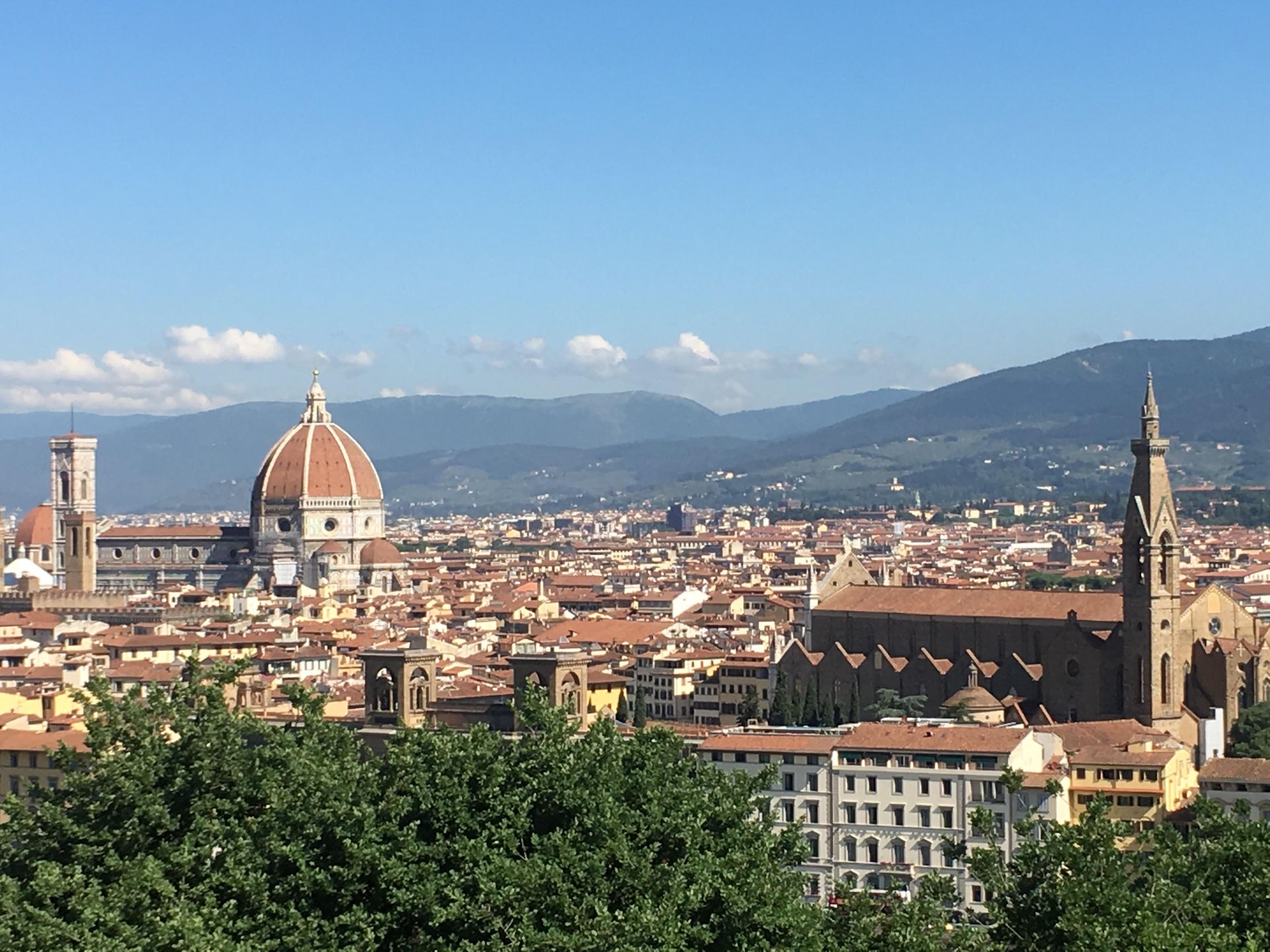 A view of a city with mountains in the background