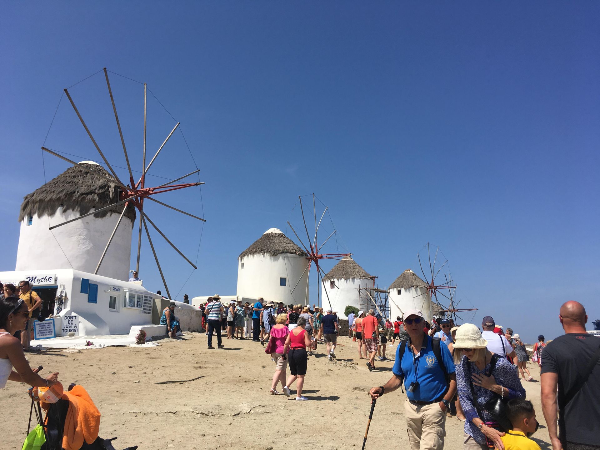 A group of people are walking in front of a row of windmills.