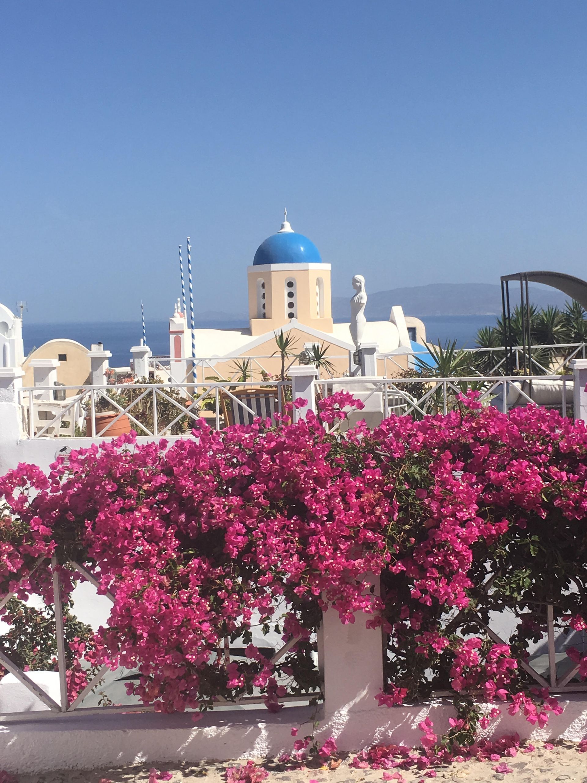 A fence with pink flowers and a blue dome in the background