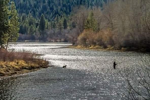 Sunlit river with two anglers, surrounded by forest and bare trees