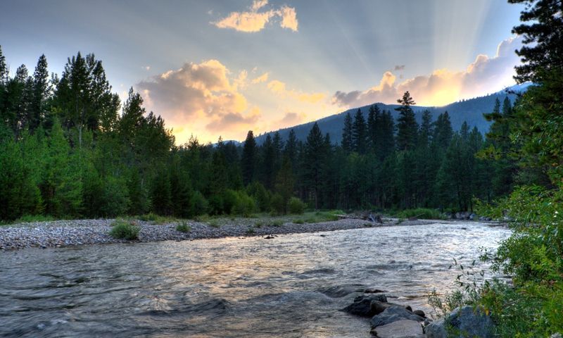 Bitterroot River