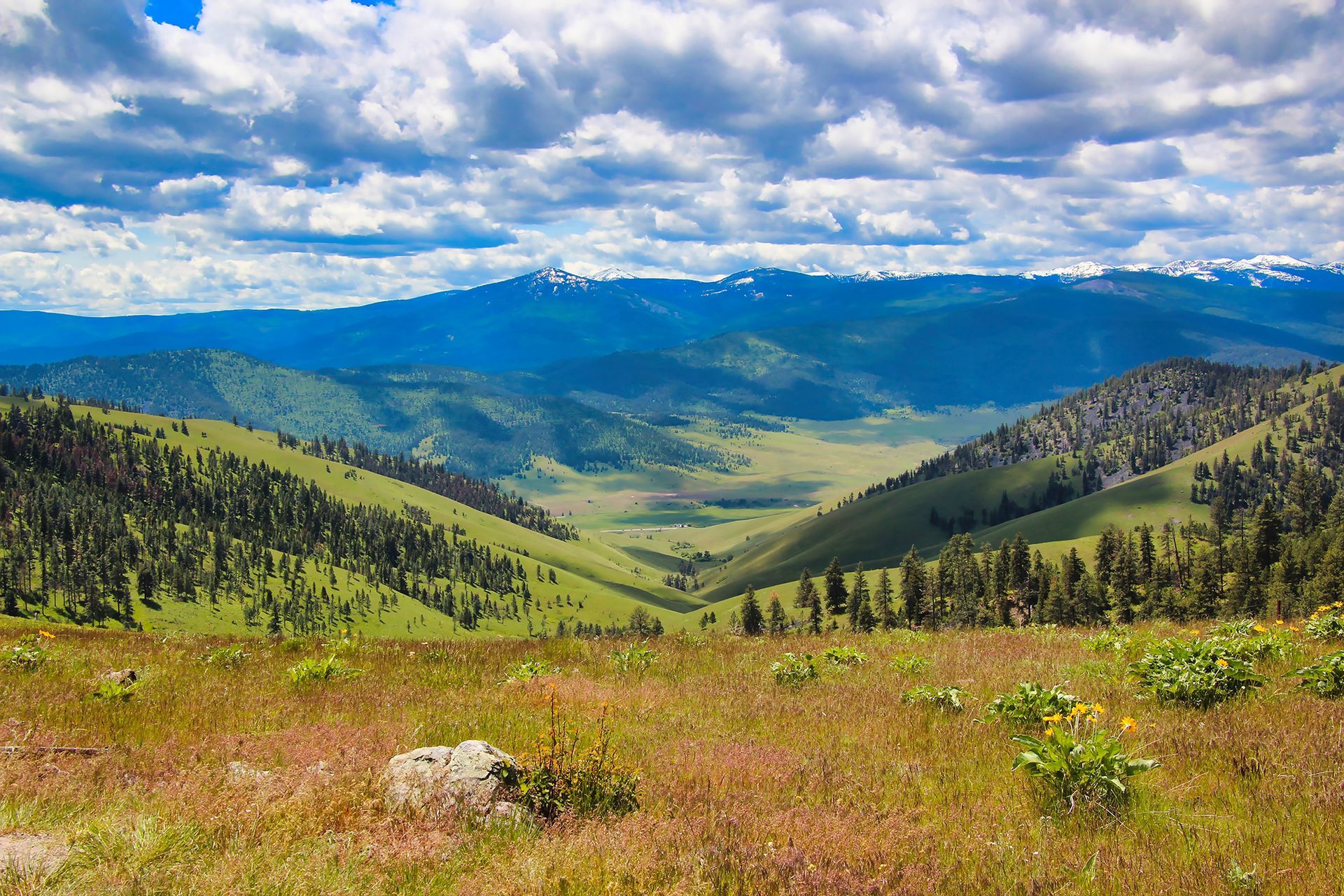 Sunlit mountain valley with green meadows, pine trees, and blue peaks under a cloudy sky