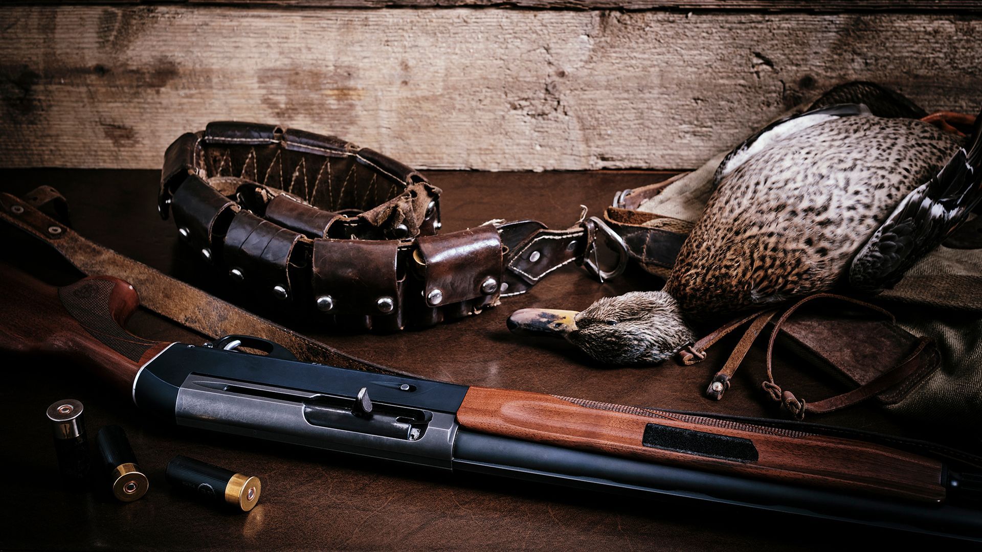 Duck & Goose Hunting