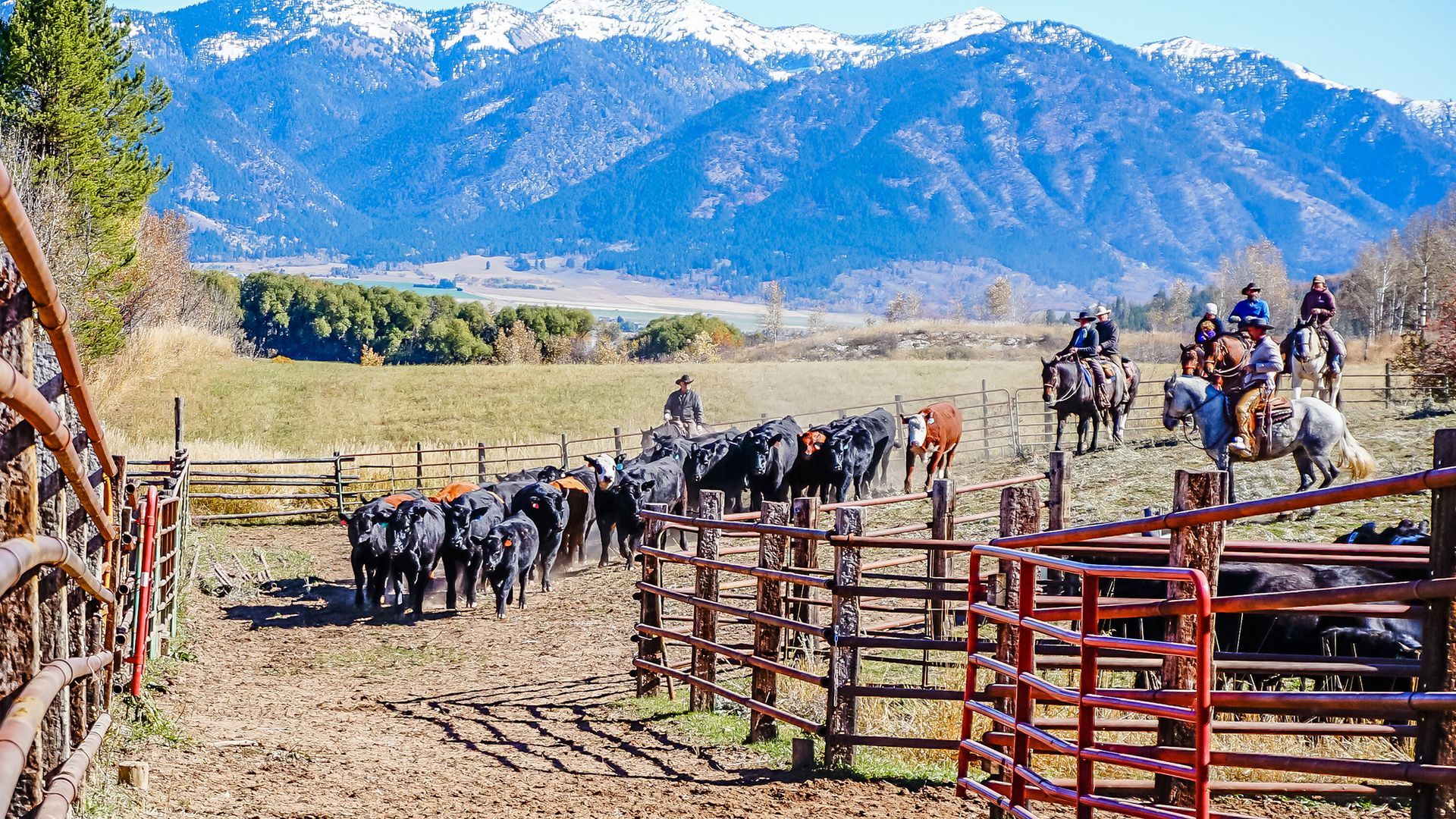 Dude Ranches