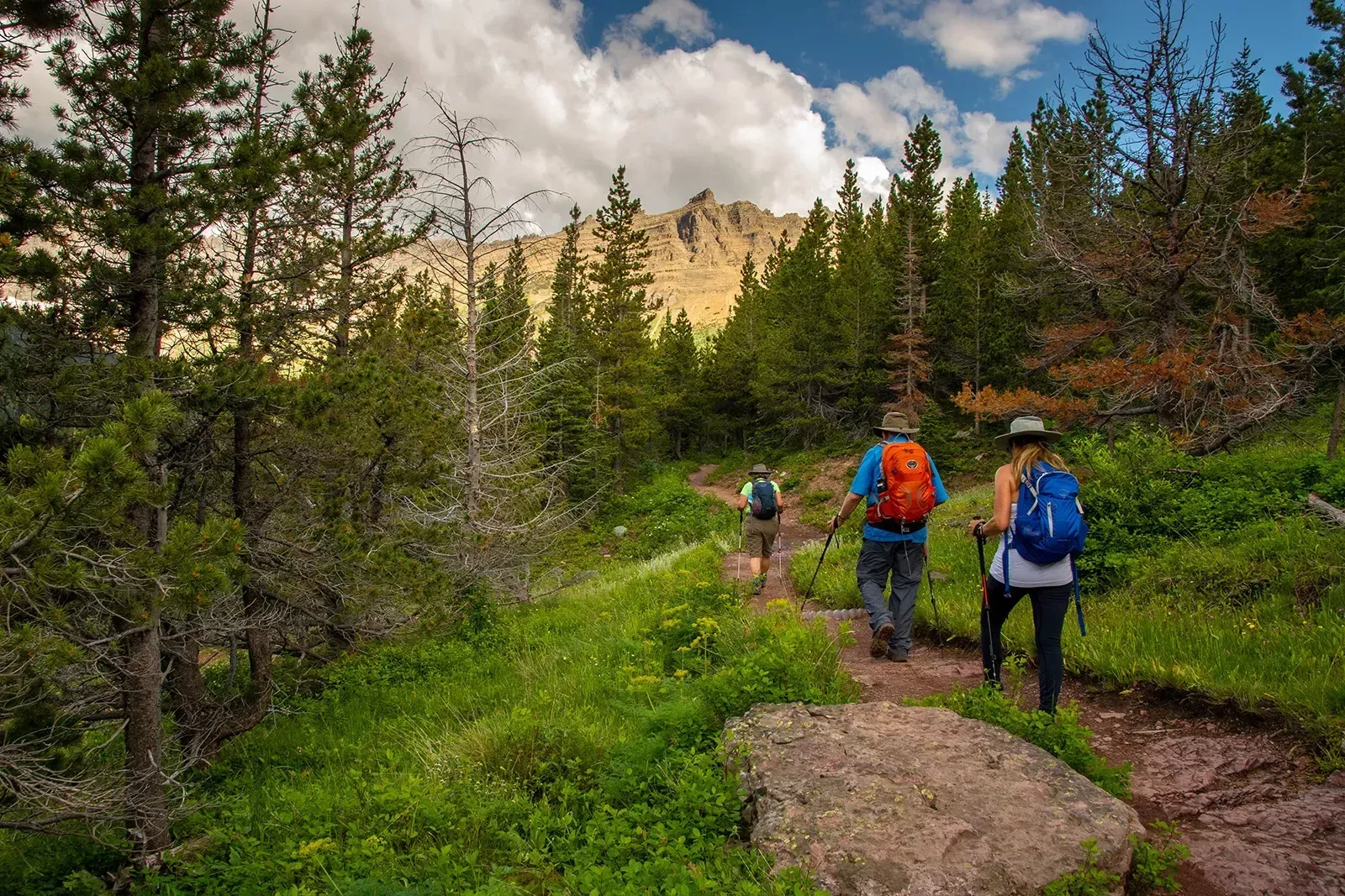 Hikers with backpacks walking a forest trail toward sunlit rocky cliffs under a cloudy sky