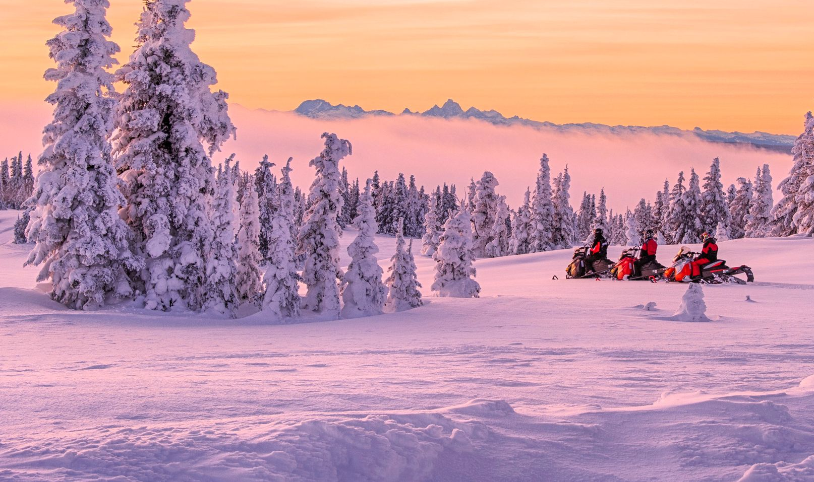 Snowmobile Tours