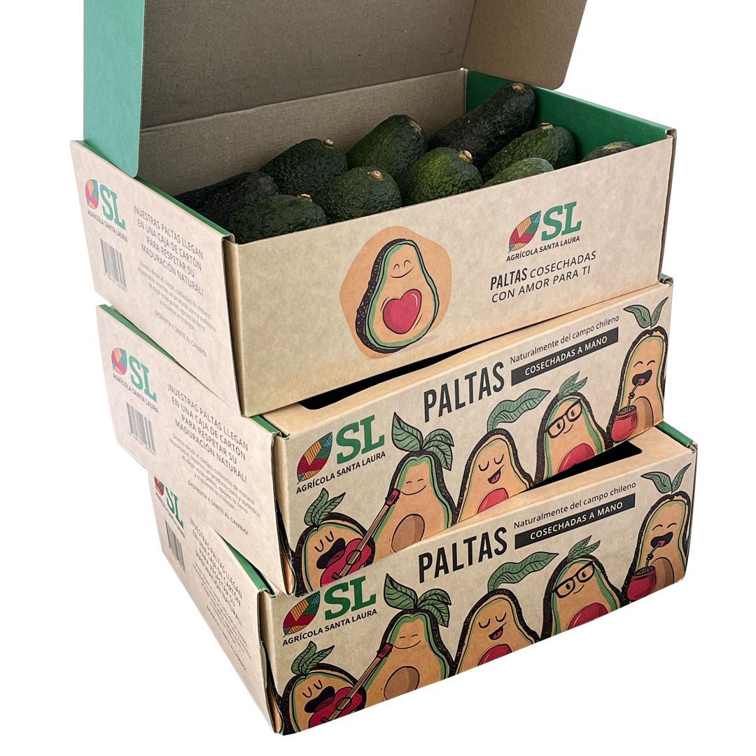 3 Cajas Palta Hass - 45 paltas