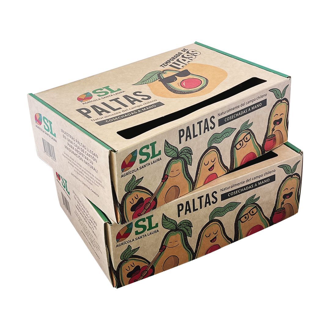 2 Cajas Palta Hass - 30 paltas