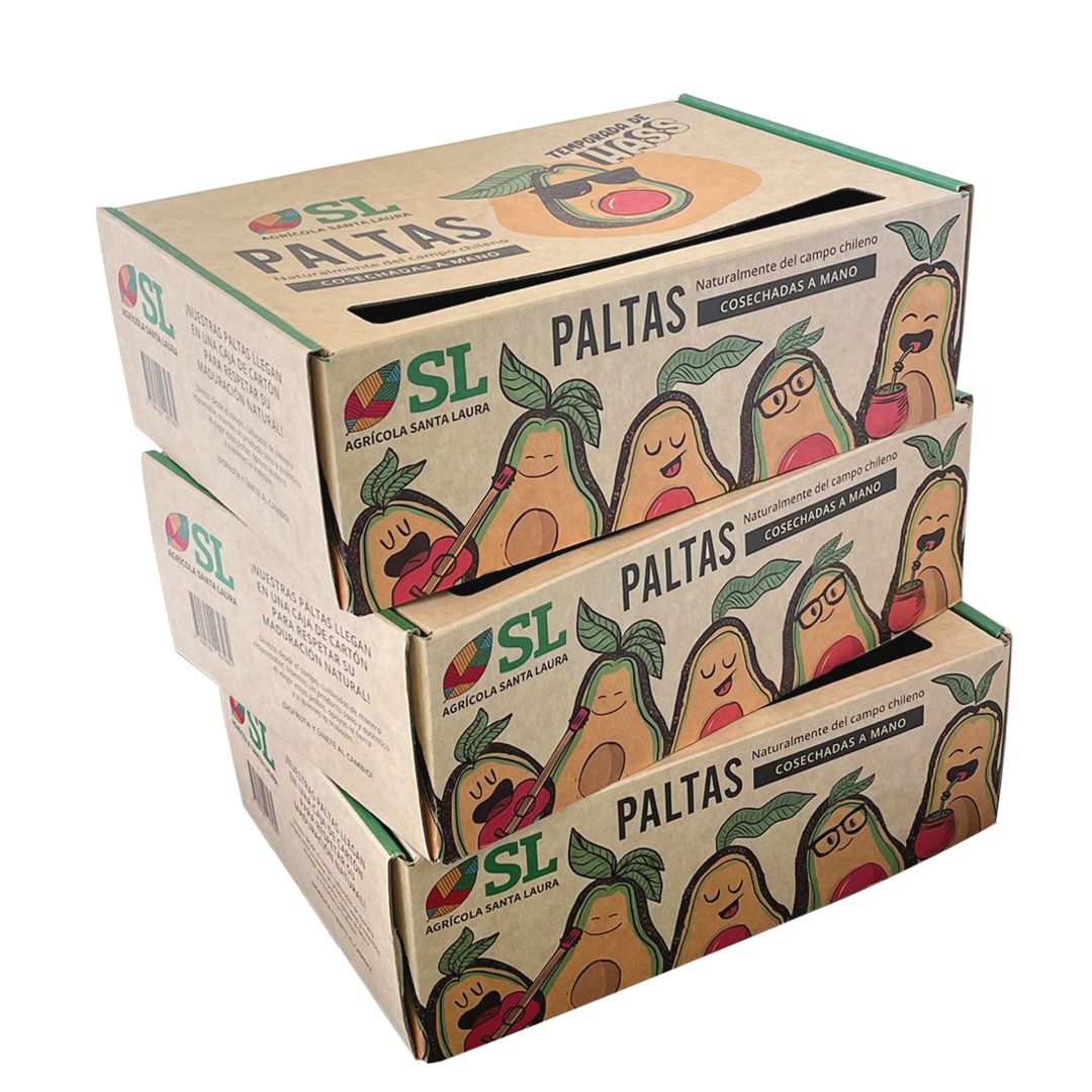 3 Cajas Palta Hass - 45 paltas