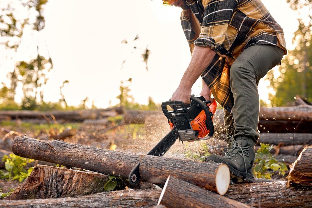 Man is Cutting Logs With a Chainsaw in a Forest — Downright Carpentry in Ryan, QLD