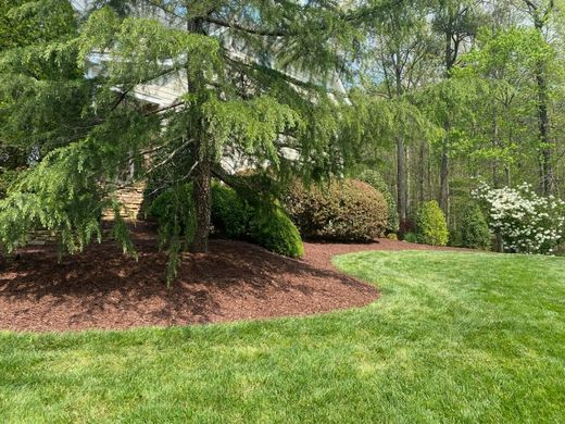 Lush green lawn with a tree and mulch bed; trees and shrubs in the background.