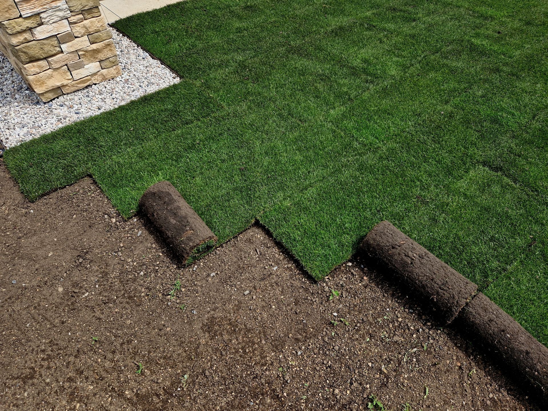 Laying sod rolls on soil; a finished patch of green grass contrasts with the brown earth and rolls.