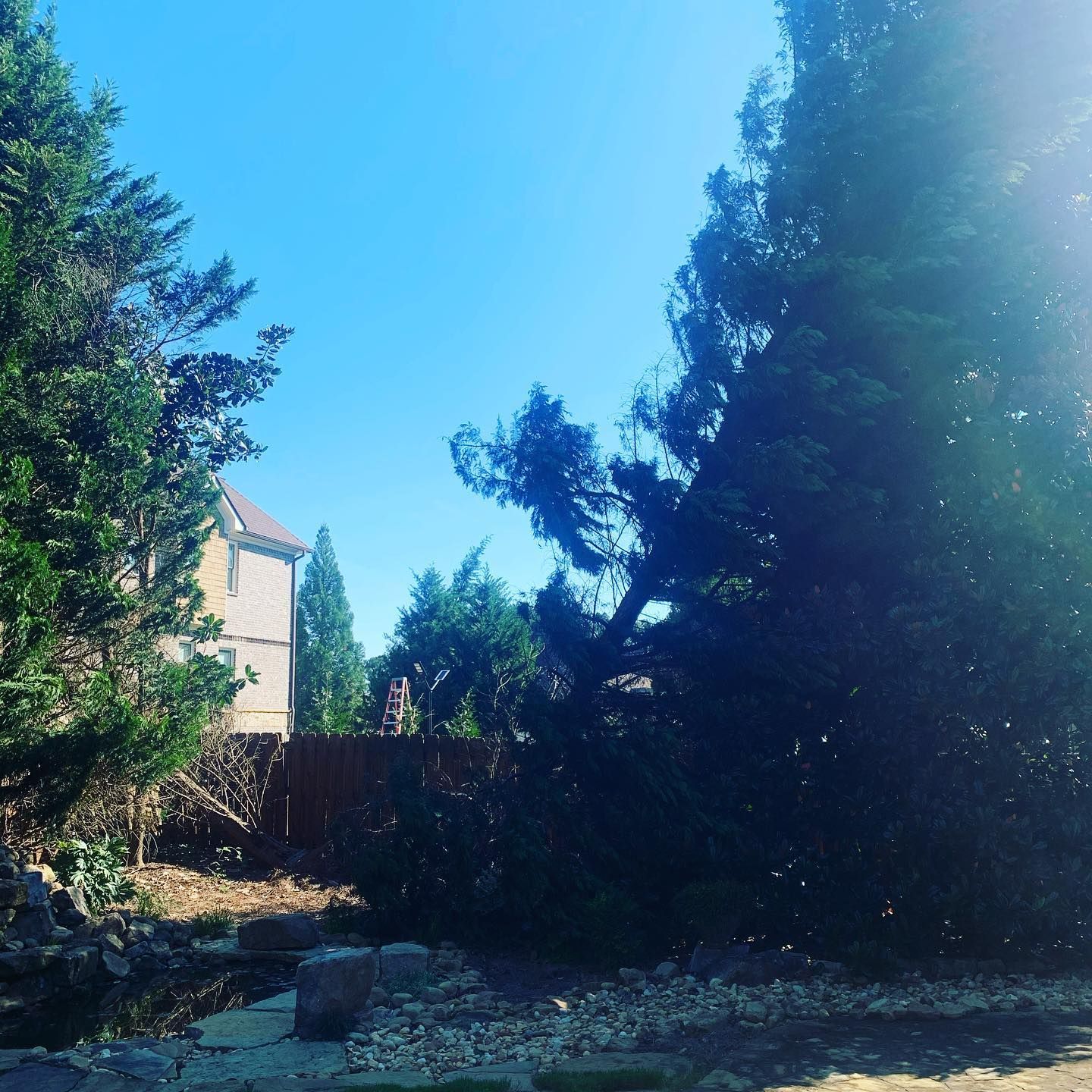 A fenced in yard with trees and a house in the background