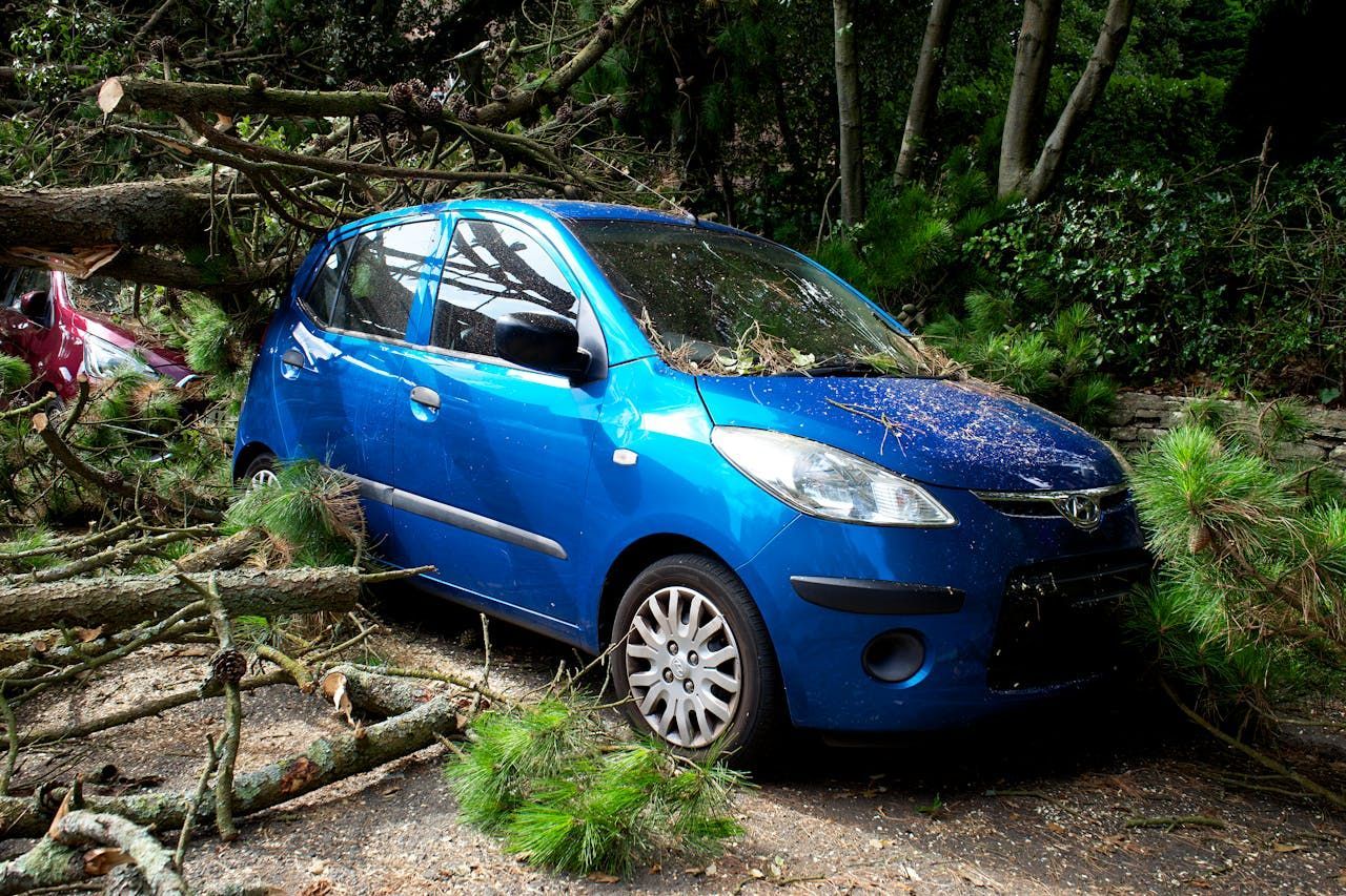 A blue car is sitting on the ground next to a fallen tree.