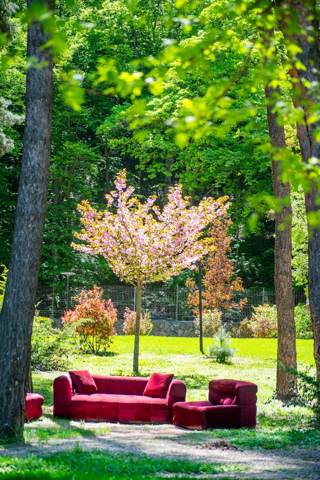 A red couch is sitting in the middle of a park surrounded by trees.