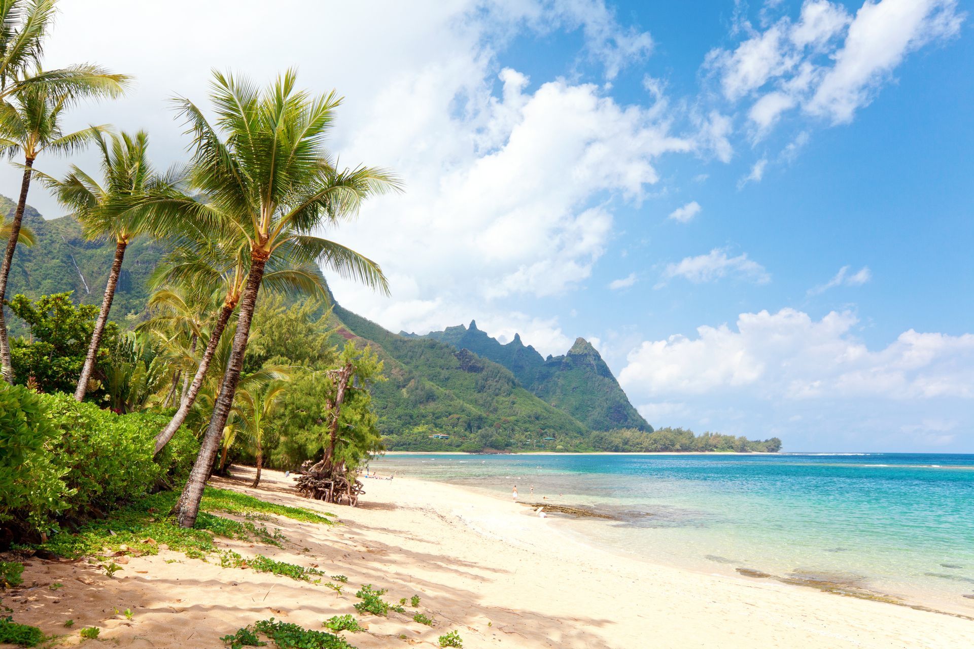 Tropical Beach — Sevierville, TN — Your Ticket to Travel