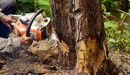Man Cutting the Tree — Tree Trimming Services in Powder Springs, GA