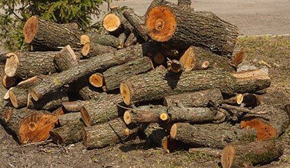 Firewood — Tree & Stump Removal Services in Powder Springs, GA