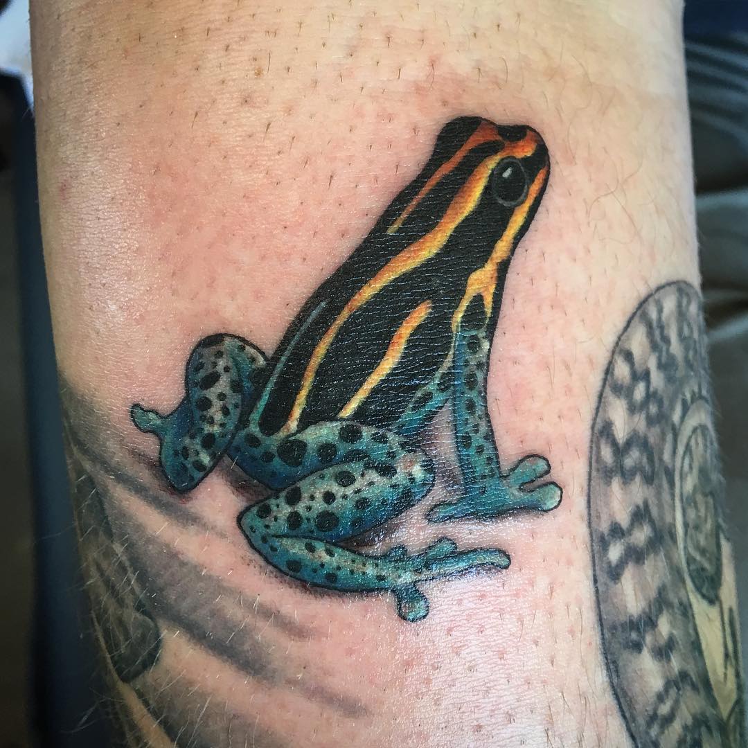 Frog Tattoo by Dale Moostoos at Crimson Empire Tattoo in Edmonton Alberta Canada