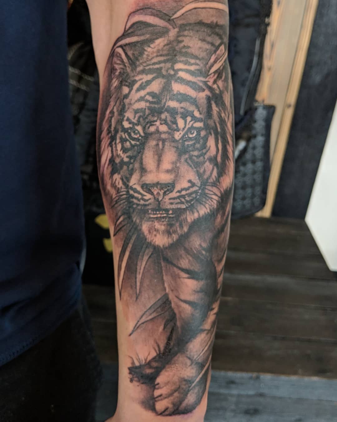 Tiger Tattoo by Kevin Sherritt at Black Gold Tattoo Co in Edmonton Alberta Canada