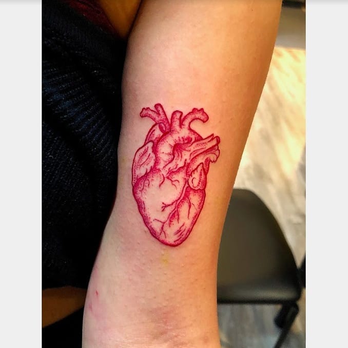 Anatomical Heart Tattoo by Tony Honning at Crimson Empire Tattoo in Edmonton Alberta Canada