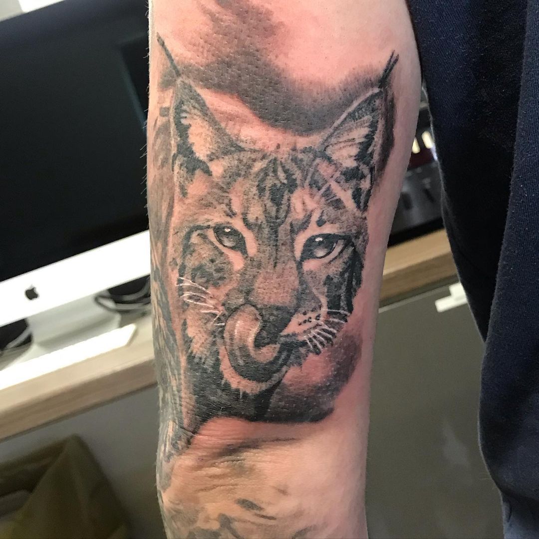 Bobcat Tattoo by Alan Coates at Black Gold Tattoo Co in Edmonton Alberta Canada