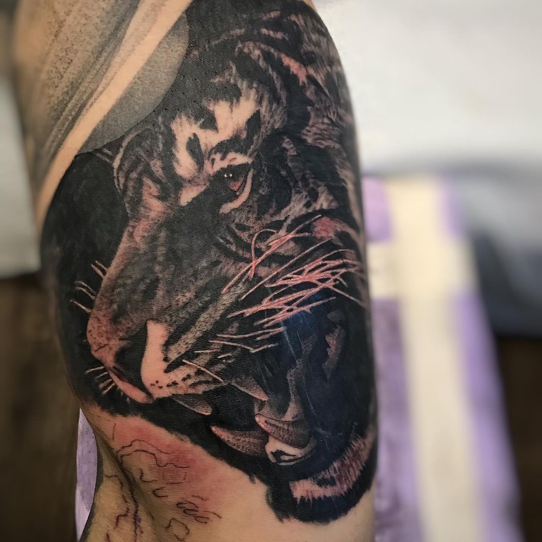 Tiger Tattoo by Alan Coates at Black Gold Tattoo Co in Edmonton Alberta Canada