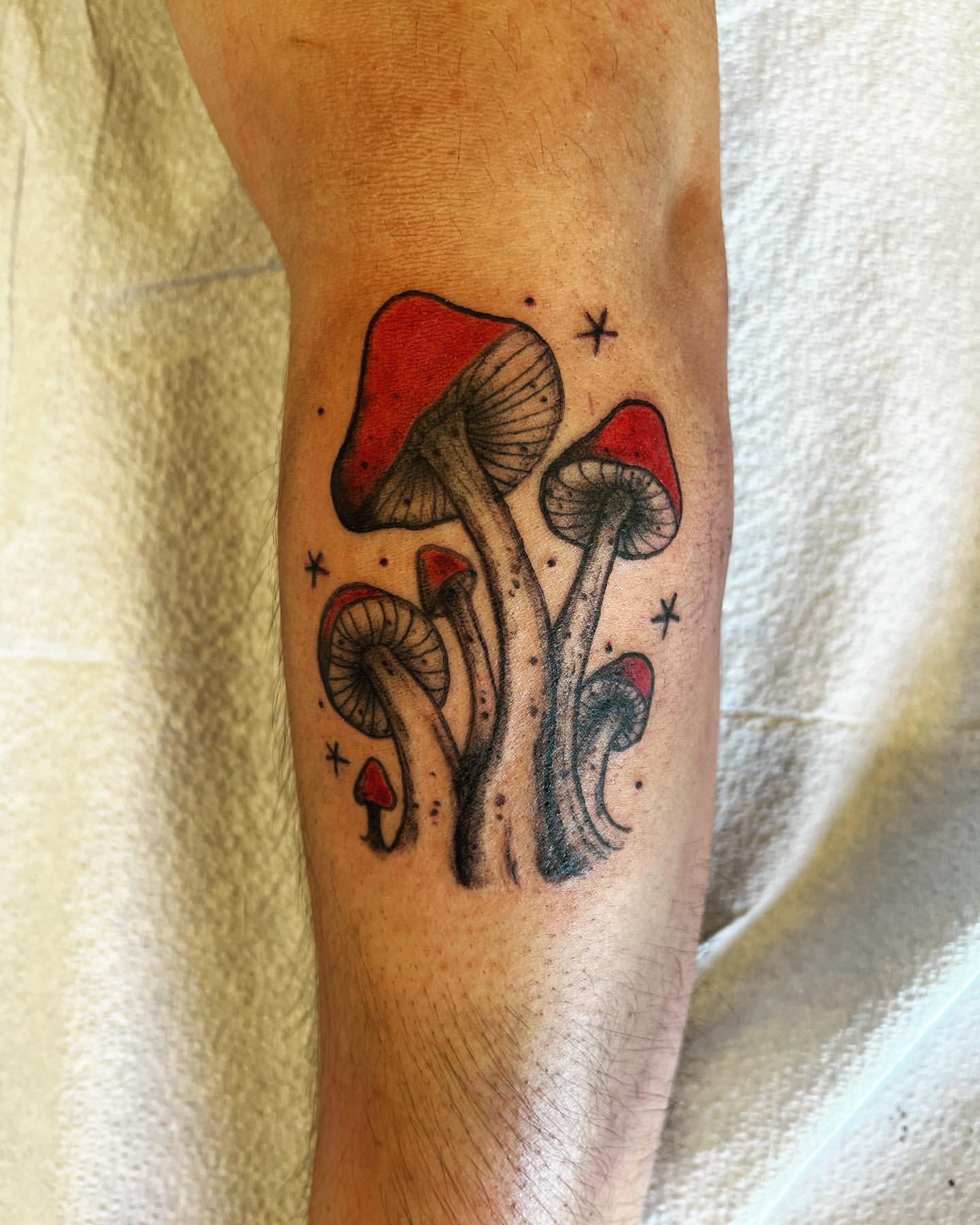 Mushroom Tattoo by Vinny Nguyen at Crimson Empire Tattoo in Edmonton Alberta Canada