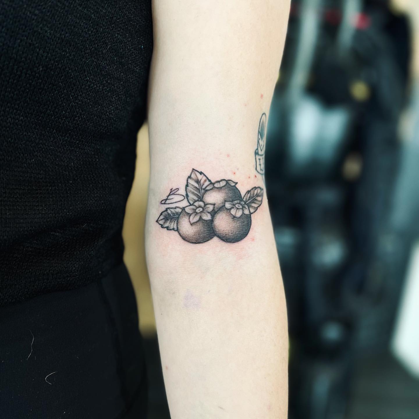 Blueberries Tattoo by Vinny Nguyen at Crimson Empire Tattoo in Edmonton Alberta Canada